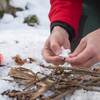 placing tinder in pile of kindling