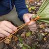 securing tent/tarp