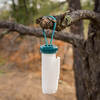 toilet paper hanging from tree