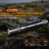 extremely lightweight and compact AA powered flashlight