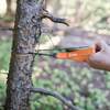 in use on tree