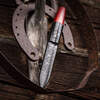 knife in sheath next to horseshoe
