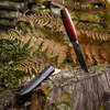 knife stuck in tree stump next to sheath, ferns behind