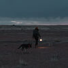 walking dog with lantern